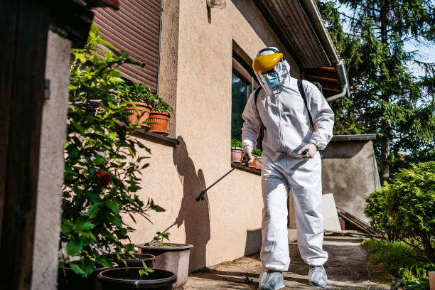 Best Termite Control Services  in Baird, TX