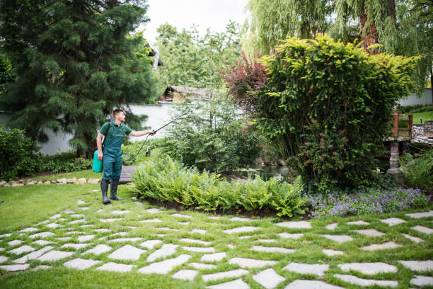 Best Affordable Pest Control Services  in Baird, TX
