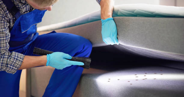 Best Ant Control Services  in Baird, TX