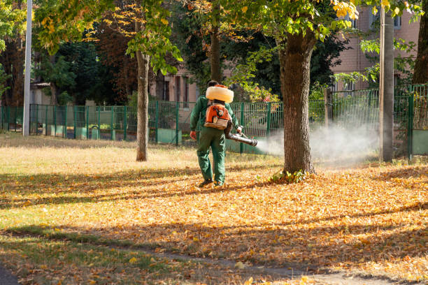 Best Flea Control Services  in Baird, TX