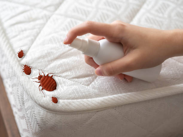 Pest Control Cost in Baird, TX