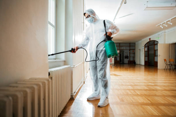 Best Bed Bug Extermination  in Baird, TX