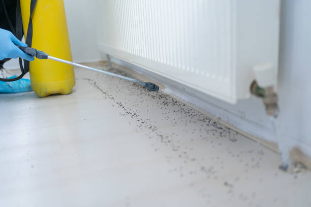 Best Insect Control  in Baird, TX