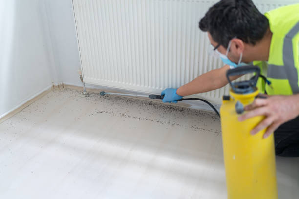 Best Mosquito Control Services  in Baird, TX