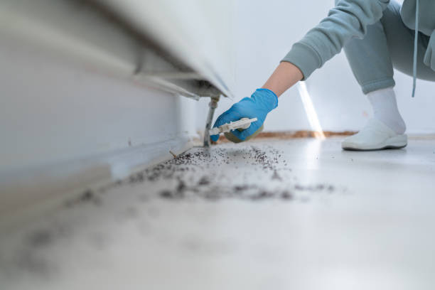 Best Exterminator Services  in Baird, TX